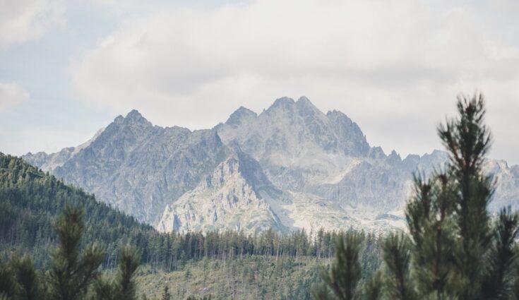 Is ‘purpose-washing’ the new greenwashing?