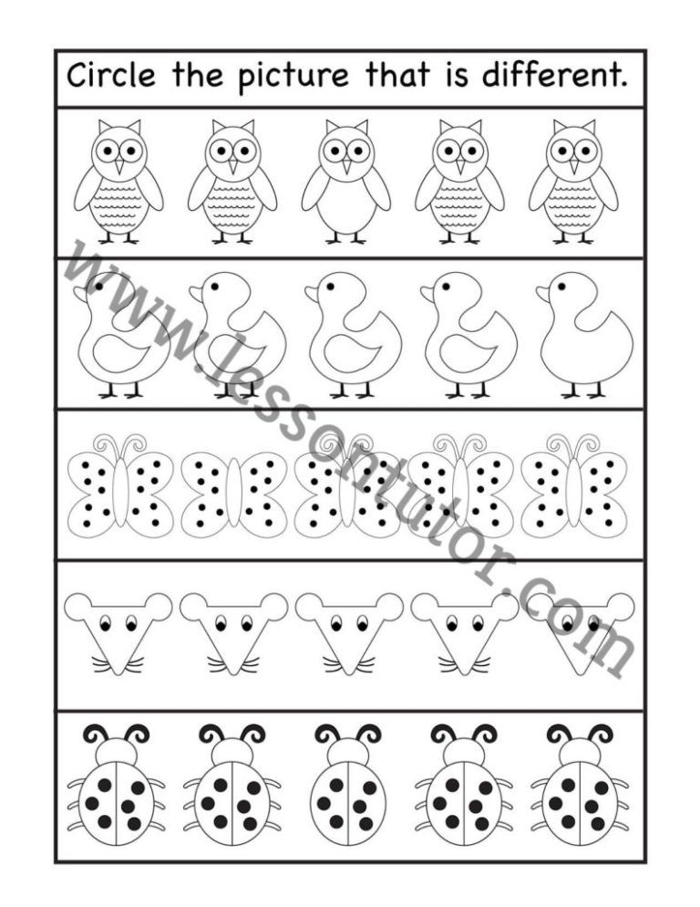 Spot the difference Worksheets- Page 5 of 5 - Lesson Tutor