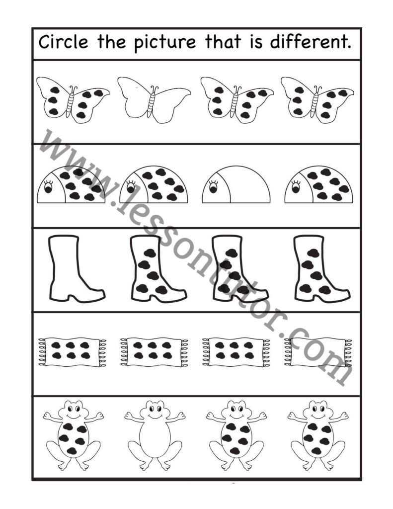 Find Similar Pictures Worksheet For Kindergarten