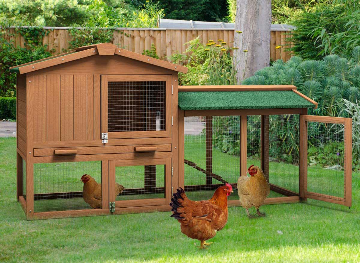 Simple Chicken Coop Plans – 14 Simple Designs You Can Build Yourself