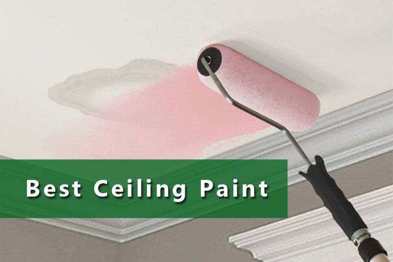 5 Best Ceiling Paint Reviews 2020   Best Ceiling Paint 