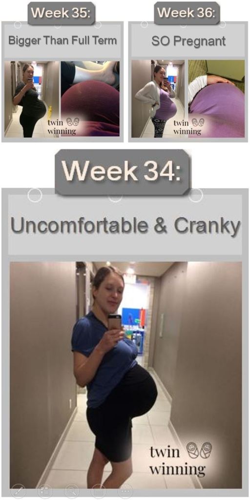 Twin Pregnancy Belly Week By Week Photos Twin Winning