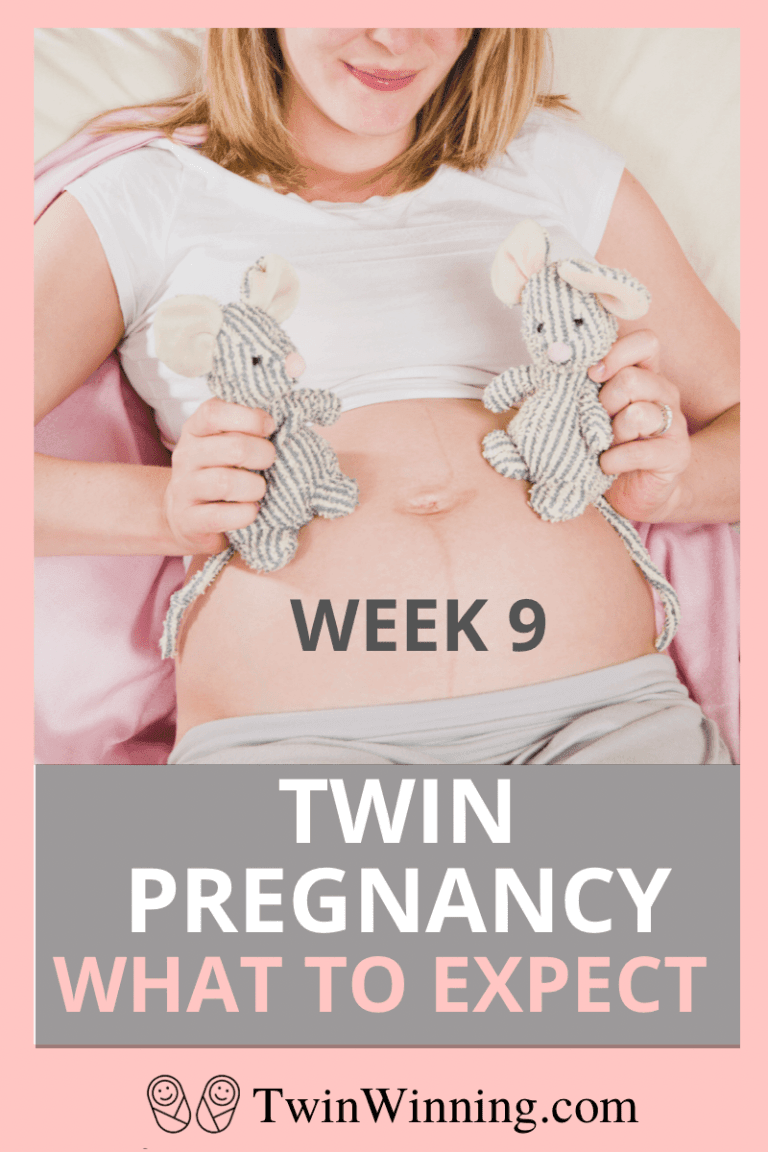 Twin Pregnancy Week 9 Symptoms, Size, Development Twin Winning